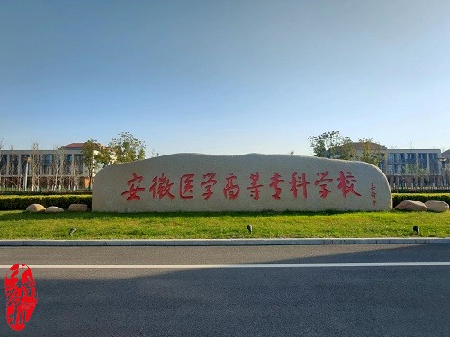 中南藥機︰安徽醫(yī)學(xué)高等?？茖W(xué)校 “1+X”藥物制劑生產(chǎn)職業(yè)技能設(shè)備安裝調(diào)試